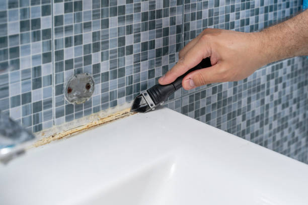 Best Mold Damage Repair  in Germantown, WI