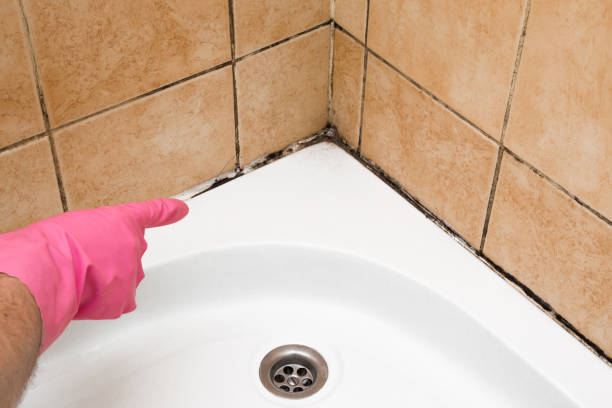 Best Mold Cleaning Services  in Germantown, WI